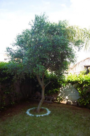 Casa Ulivo Pulsano